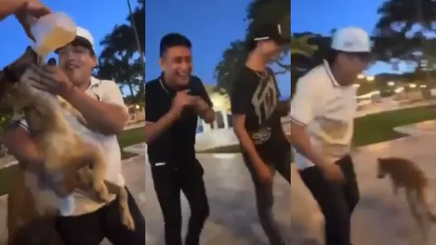 maltrato-animal-jóvenes-perrito-goliat-beber-cerveza-alcohol-yucatán-video