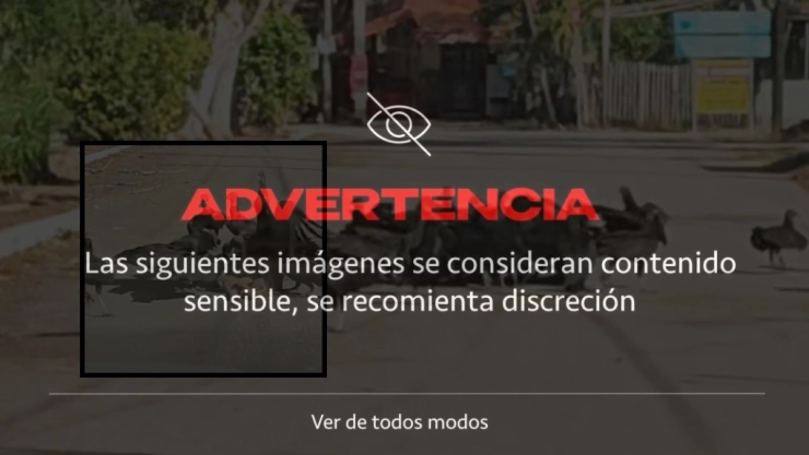 IMÁGENES FUERTES: Captan a buitres DEVORANDO a un perro muerto en las calles de México