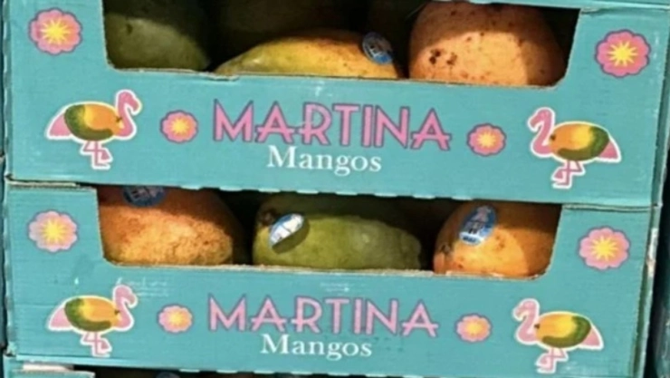 ¡Alerta por mangos! Retiran cientos de cajas por salmonela en estas ciudades.jpg