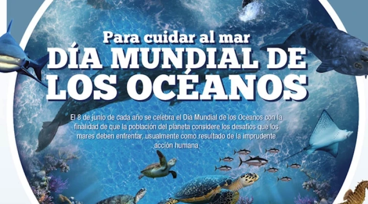 El Día Mundial de los Océanos se instituyó en 1992, con la finalidad de generar conciencia en torno a la importancia de preservar los mares y las especies que ahí habitan