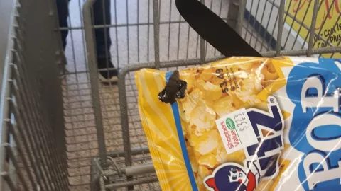 Mujer descubre serpiente en bolsa de palomitas en el supermercado de Virginia.