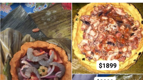 ´pib queso gourmete redes