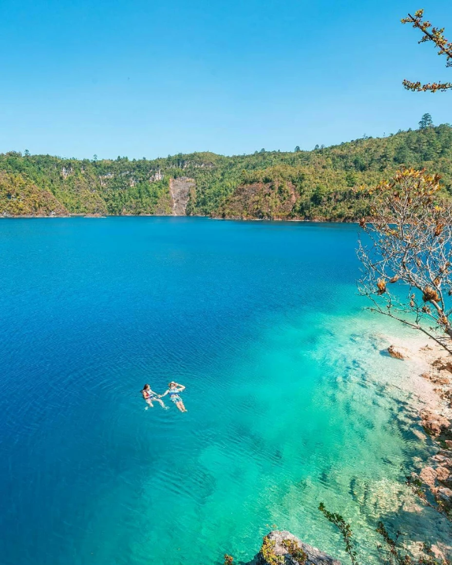 Isla de las Orquídeas