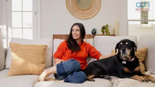  Pastilla antienvejecimiento para perros 