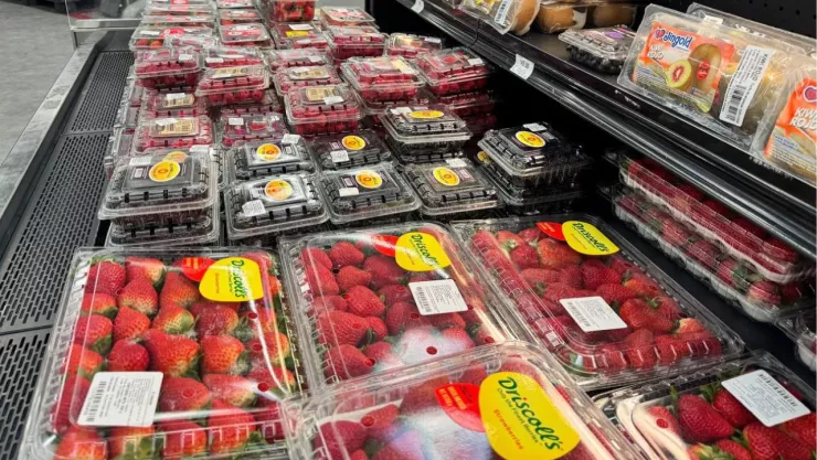 Descuentos en Chedraui por el Martimiércoles