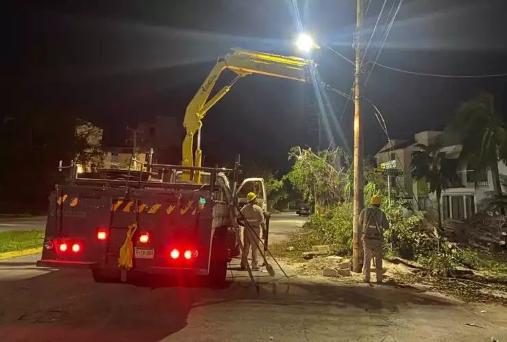 cfe-energia-luz-delta- (1).jpg