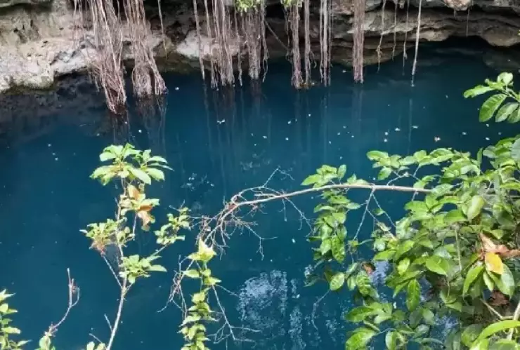 ¡Impactante! Turistas realizan salto extremo en cenote de Valladolid y todo quedó grabado: VIDEO