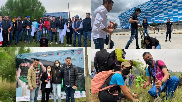 un nuevo bosque 2022