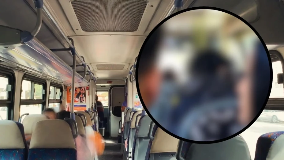 joven rata hombro camión Celaya video