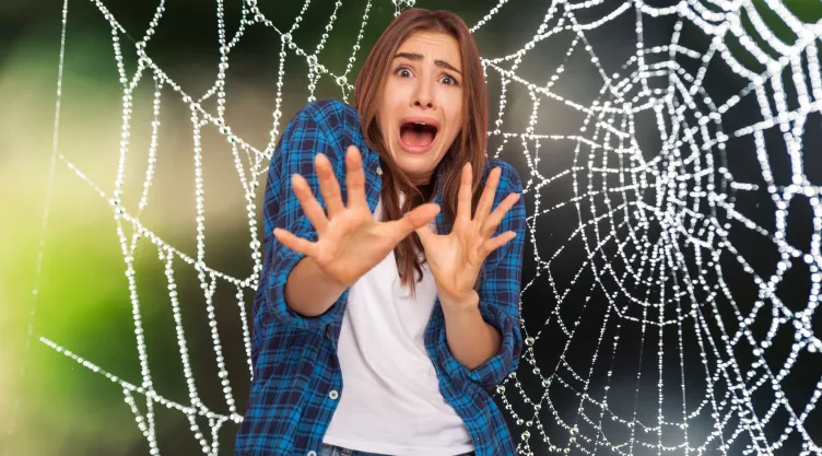araña violinista falsa