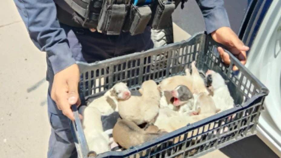 Captura de pantalla 2025-07-11 163424.png