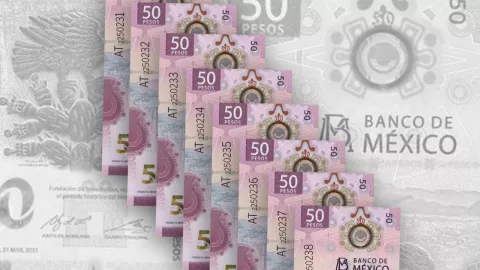 Billetes de ajolote