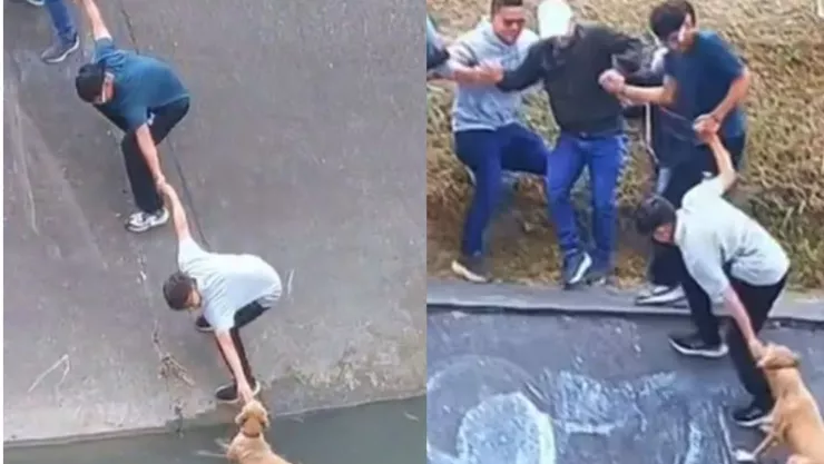 VIDEO VIRAL: En Bogotá vecinos muestran solidaridad al rescatar a un perrito arrastrado por un canal de aguas negras