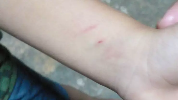 Encarcelan a hombre por GOLPEAR a un niño en un templo de Yucatán