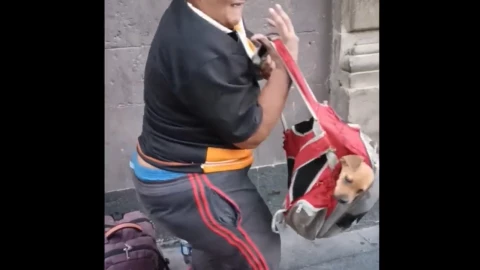 Video-acusan-a-mujer-de-dar-solventes-a-perritos-y-pedir-dinero-en-el-Centro-Histórico-de-la-CDMX