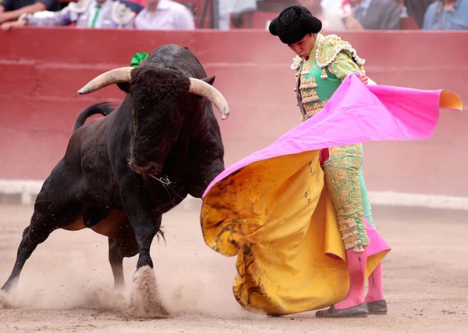 Muere torero