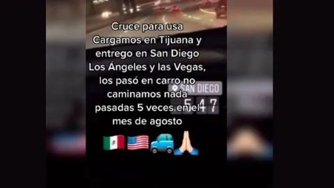 Pollero-Tiktok