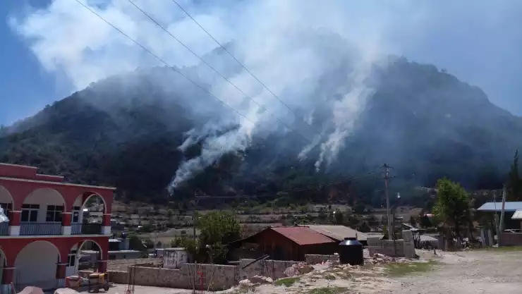 Incendio en cerro de Gachupín, Oaxaca, deja 4 personas muertas.