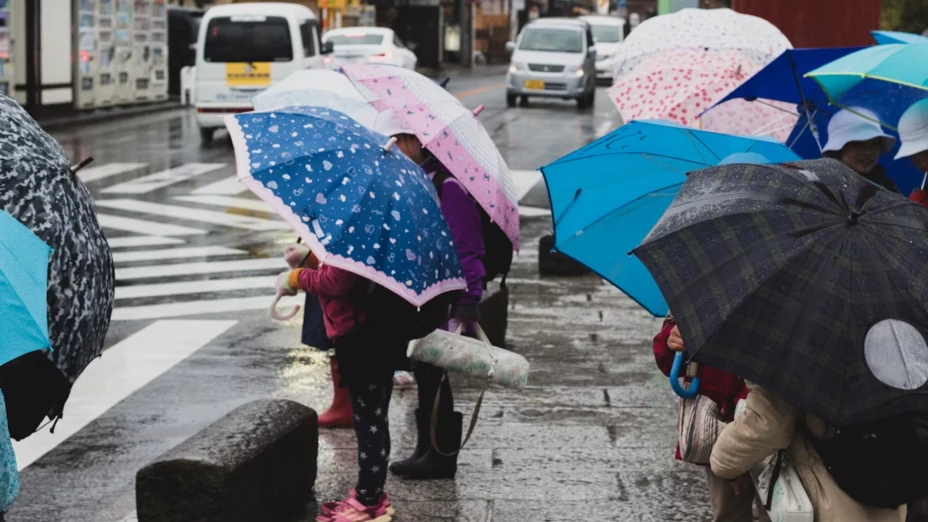 lluvias en León.png