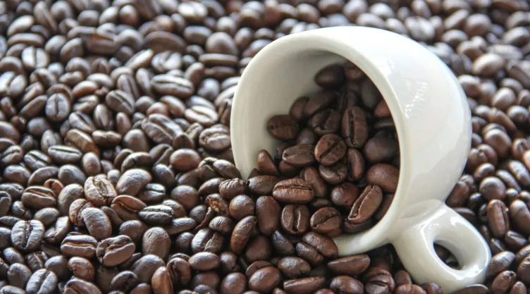 Día del café 2026: estados que más producen café en México