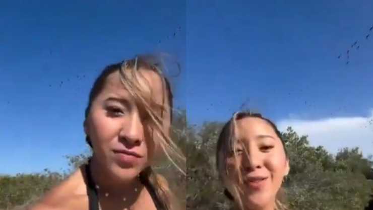 Acusan a Elisa “La Yuca” de espantar flamencos en Sisal con música en plena anidación