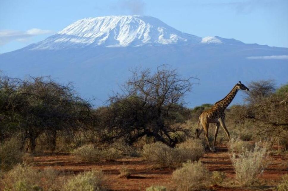Los glaciares orientales de África desaparecerán en 20 años