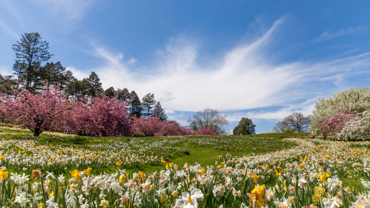 Primavera meteorológica 2025