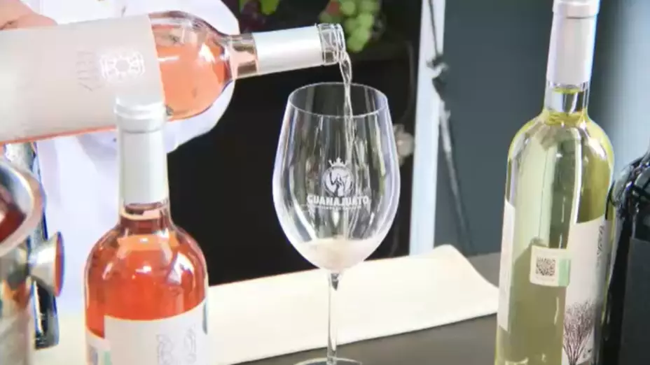 En primer plano, una mano (aparentemente de una persona vestida de blanco) vierte vino rosado de una botella con una etiqueta blanca y plateada en una copa de vino transparente que lleva impreso el texto “GUANAJUATO” y un escudo. Varias botellas de vino más, incluyendo una botella de rosado y dos botellas de vino blanco y tinto, están alineadas en un mostrador o mesa clara.