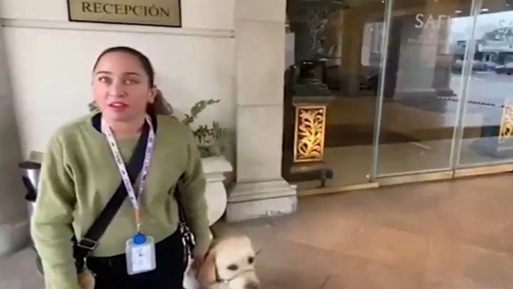 Discriminación en Nuevo León: Hotel de Monterrey negó acceso a invidente con perro guía