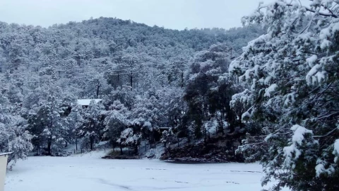 nieve Madera.jpg