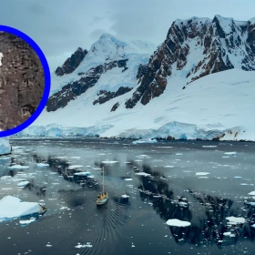 antartida ovni google maps.png