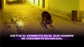 Hombre se convierte en Nahual en Veracruz.jpeg