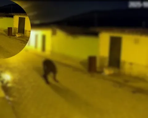¿Real o montaje? VIDEO muestra la impactante transformación de un hombre en nahual