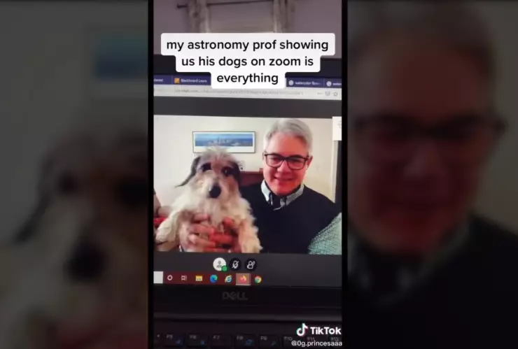 VIDEO: Maestro interrumpe su clase en línea para enseñarle sus perritos a sus alumnos