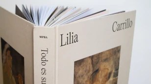 “Lilia Carrillo. Todo es sugerente”