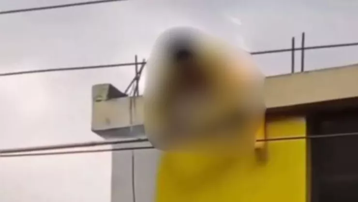 Hombre muere electrocutado en Ecuador este 2025