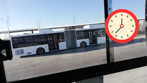 Feria de San Marcos 2025 ¿Cuál es el horario de los camiones orugas y cuánto cuesta el pasaje en Aguascalientes