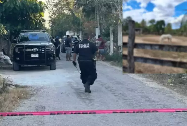 ¡Desgarrador! Así luce la escena a 4 días del ataque en Dzilam González; vecinos reportan olor a muerte (+Foto)