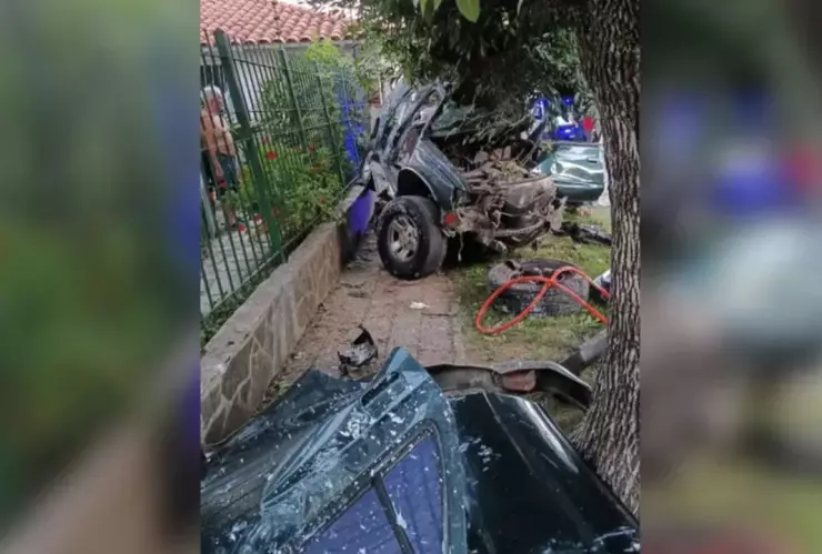 Ladrones roban camioneta y mueren al escapar en Argentina