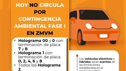 hoy no circula domingo 13 de noviembre