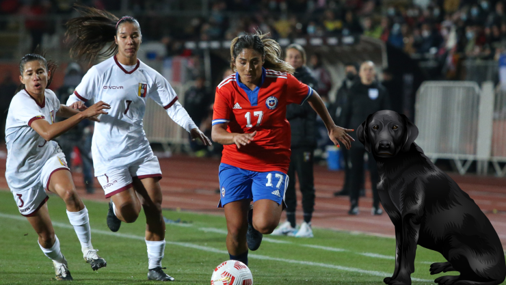 Chile Femenil, Venezuela Femenil, perro en el campo, amistosos, conmebol