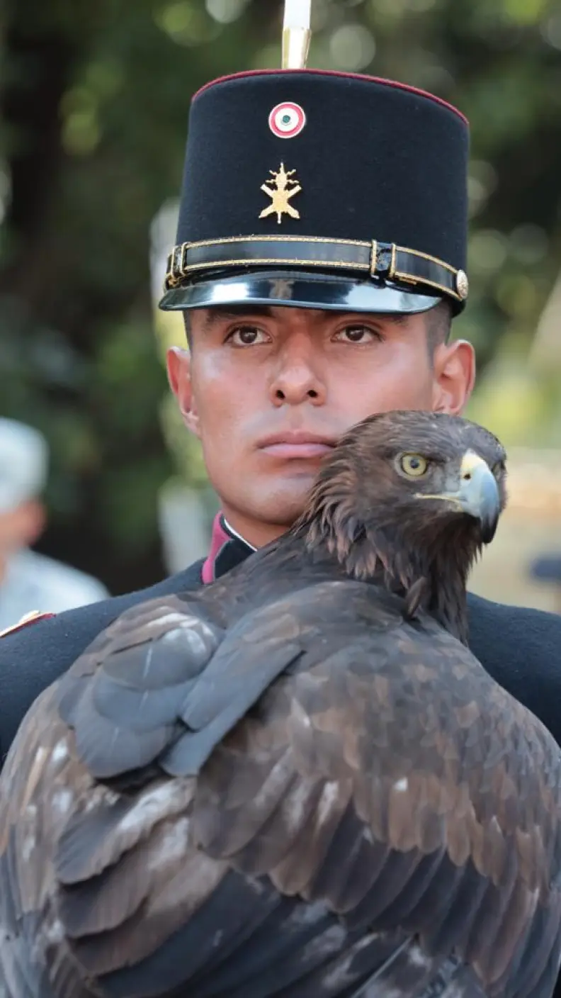 AMLO devela placa por los 200 años del Heroico Colegio Militar