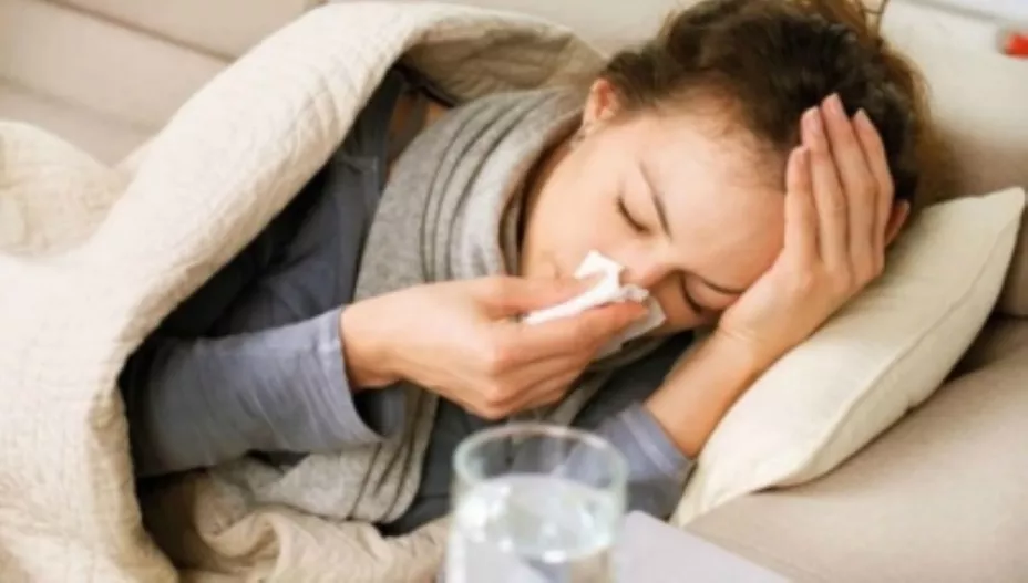 Gripe NTX.jpg