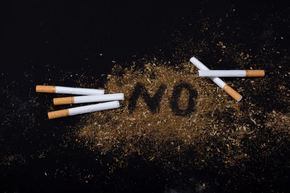 Tabaco berkay.jpg
