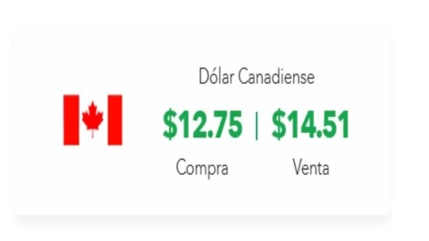 Tipo de cambio:Precio del dólar canadiense hoy 24 de diciembre del 2024 en México