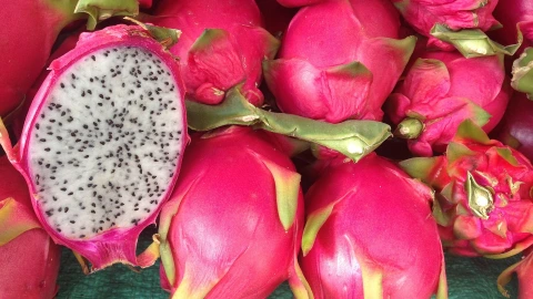 Pitahaya