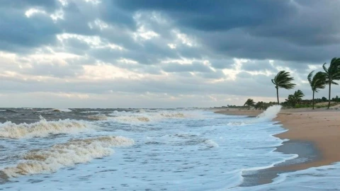 Alerta de Evento de Norte en Chiapas hoy 9 de enero de 2025