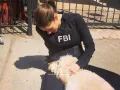 missy-peregrym-fbi