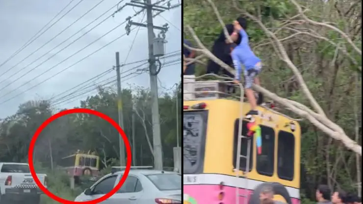 ¡Última hora! Reportan accidente de autobús de Xcaret en la carretera a Playa del Carmen