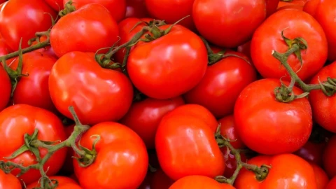 tomates lloran estudio